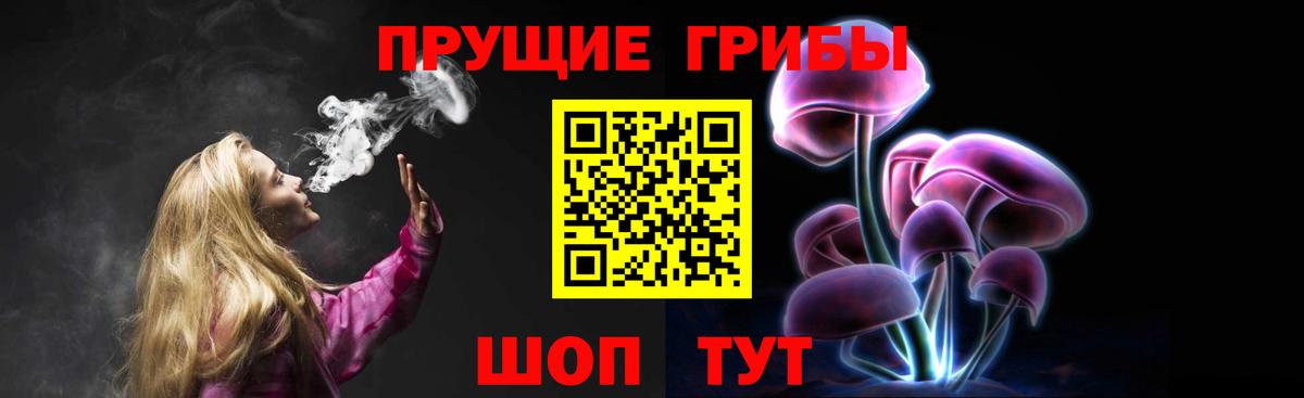 Абакан  Галлюциногенные грибы Cubensis  Псилоцибиновые грибы Psilocybine cubensis  Вход с VPN 